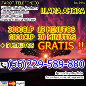Tarot Telefonico Barato las 24hs