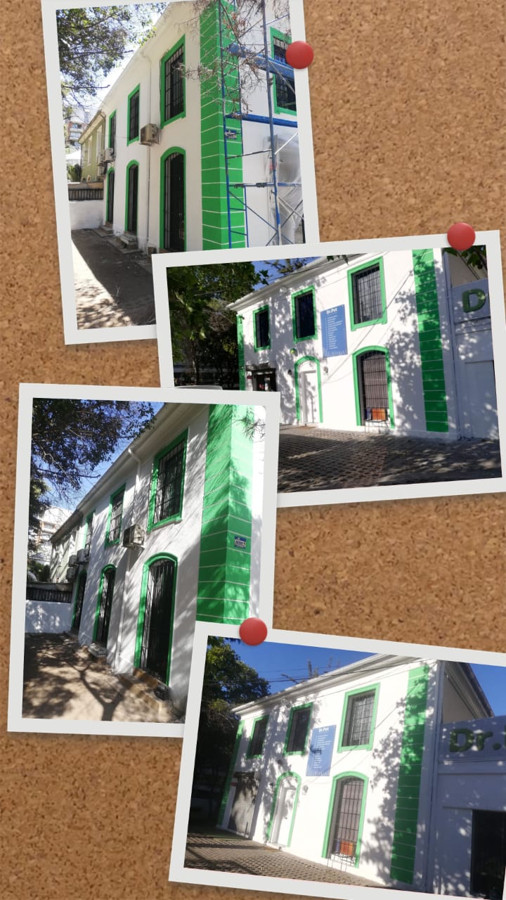 N5 (#ID:4722-4721-medium_large)  Servicios de pintura y construcción de la categoria Construcción y que se encuentra en Santiago, new, 2000, con identificador unico - Resumen de imagenes, fotos, fotografias, fotogramas y medios visuales correspondientes al aviso clasificado como #ID:4722